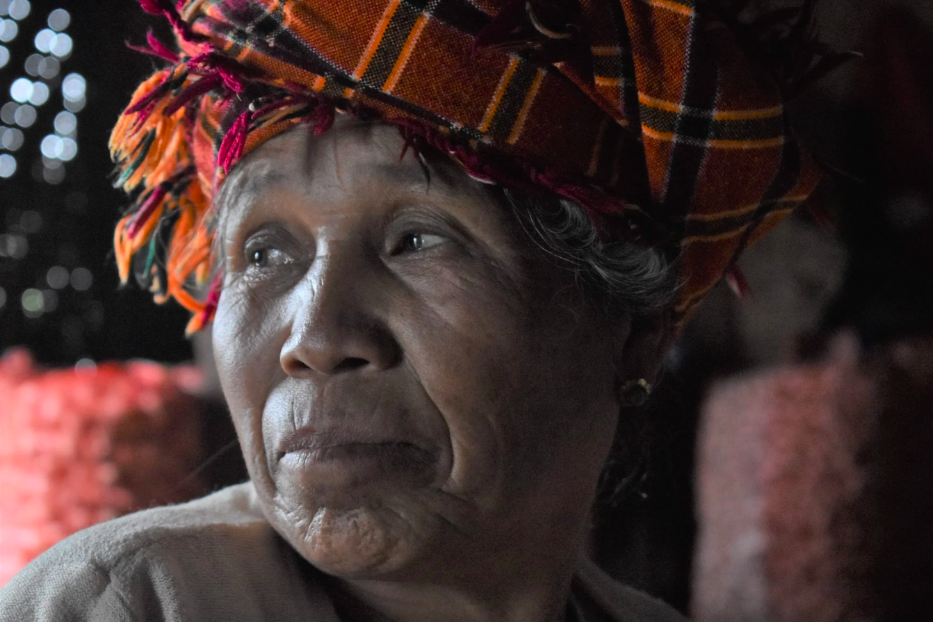 close up photo of Pa’O farmer Daw May Thant's face in her house after the harvest. she looks off to the left and is wearing a headdress
