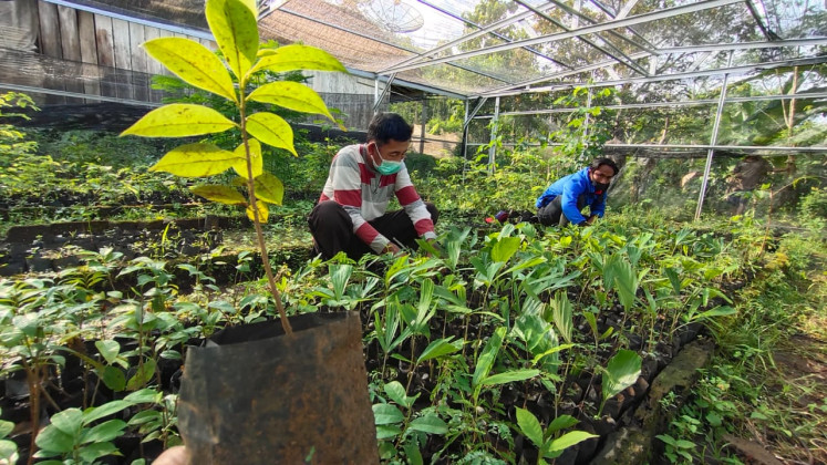 Two men crouched to check on tree seeds in a seedling nursery greenhouse.