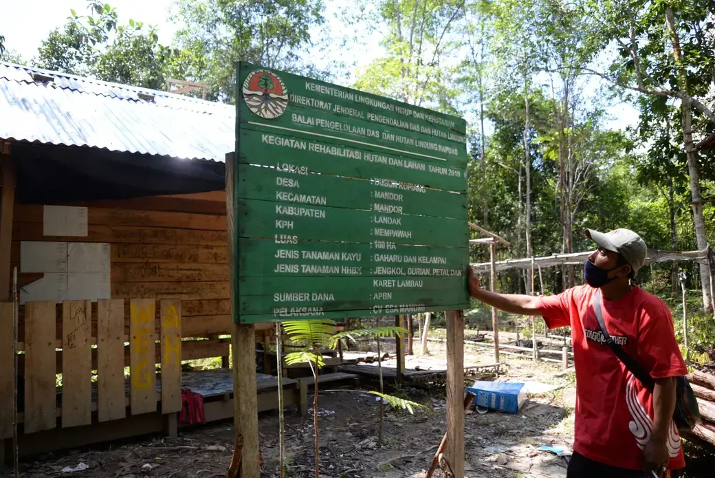 Upaya untuk mengurangi ketergantungan masyarakat terhadap hasil hutan, terutama kayu, salah satunya dengan bantuan program Rehabilitasi Hutan dan Lahan (RHL).
